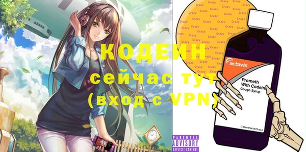 спиды Пересвет