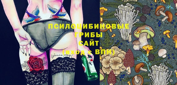 винт Тотьма