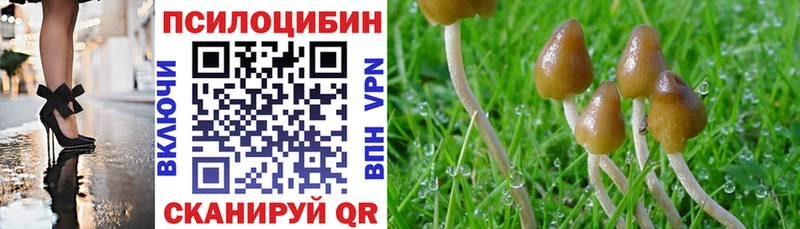 Галлюциногенные грибы Psilocybine cubensis  Бабушкин 